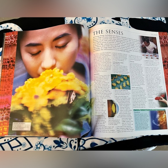 Smithsonian Human: The Definitive Visual Guide - Picture 9 of 9